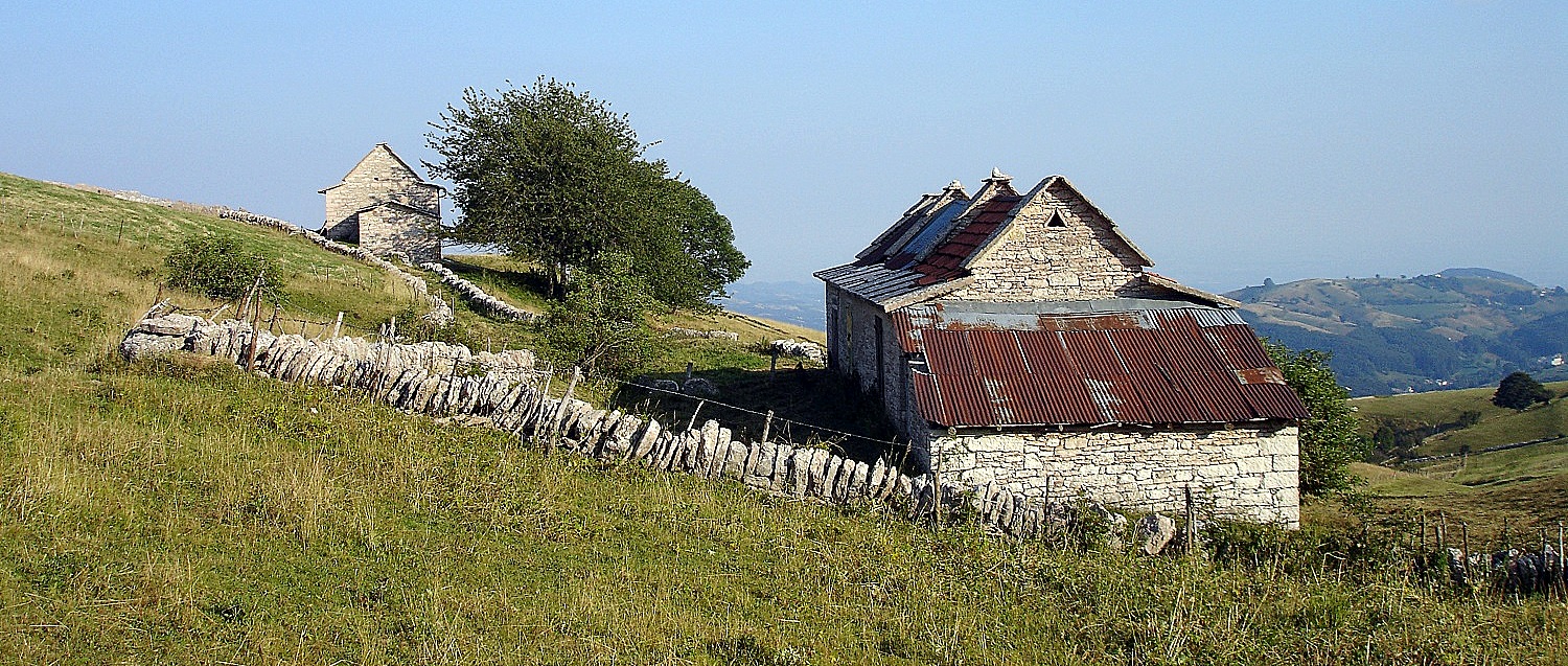 Valdegamberi accusa le associazioni sindacali agricole e la politica per la morte dell’alpeggio in Lessinia e in Italia