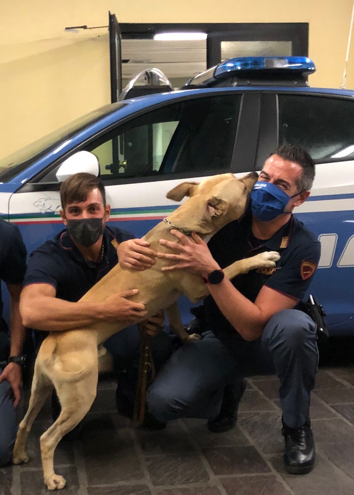 Picchia il cane col bastone. La polizia interviene e salva il pittbull.