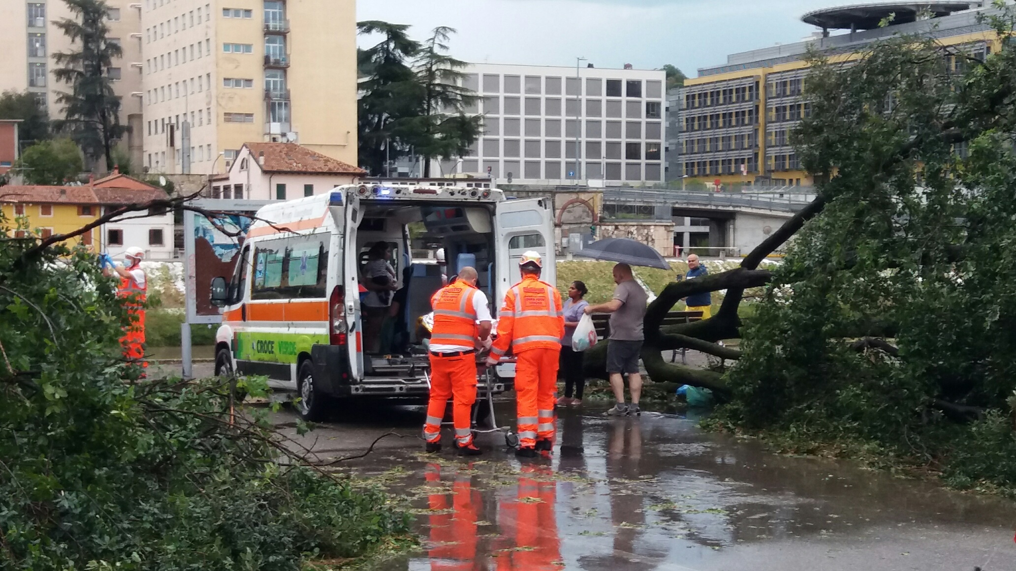 Terrore a Ponte Catena: albero travolge un’ auto con una famiglia a bordo. Alcuni feriti a Borgo Trento