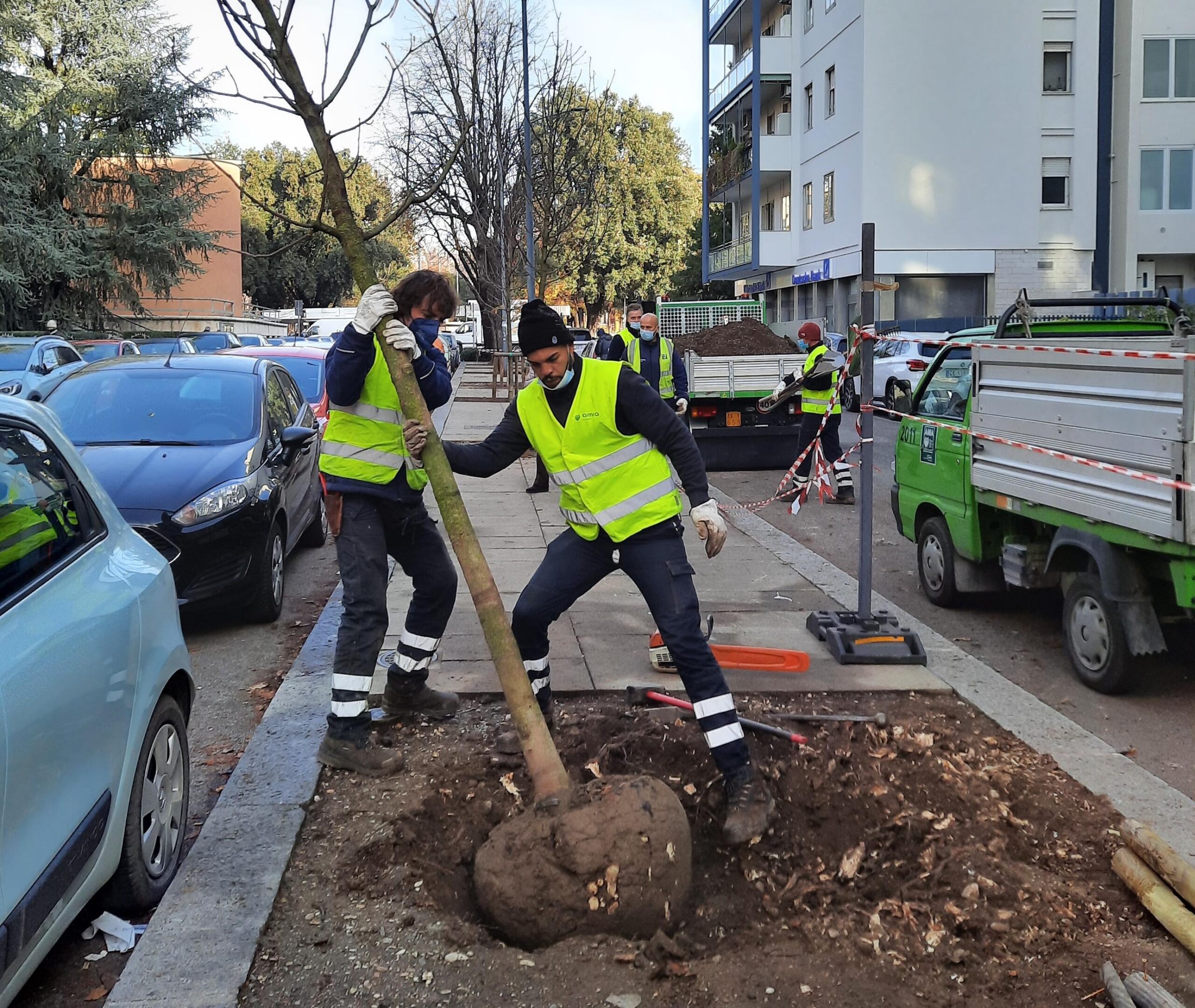 Finalmente torna il verde in via Todeschini