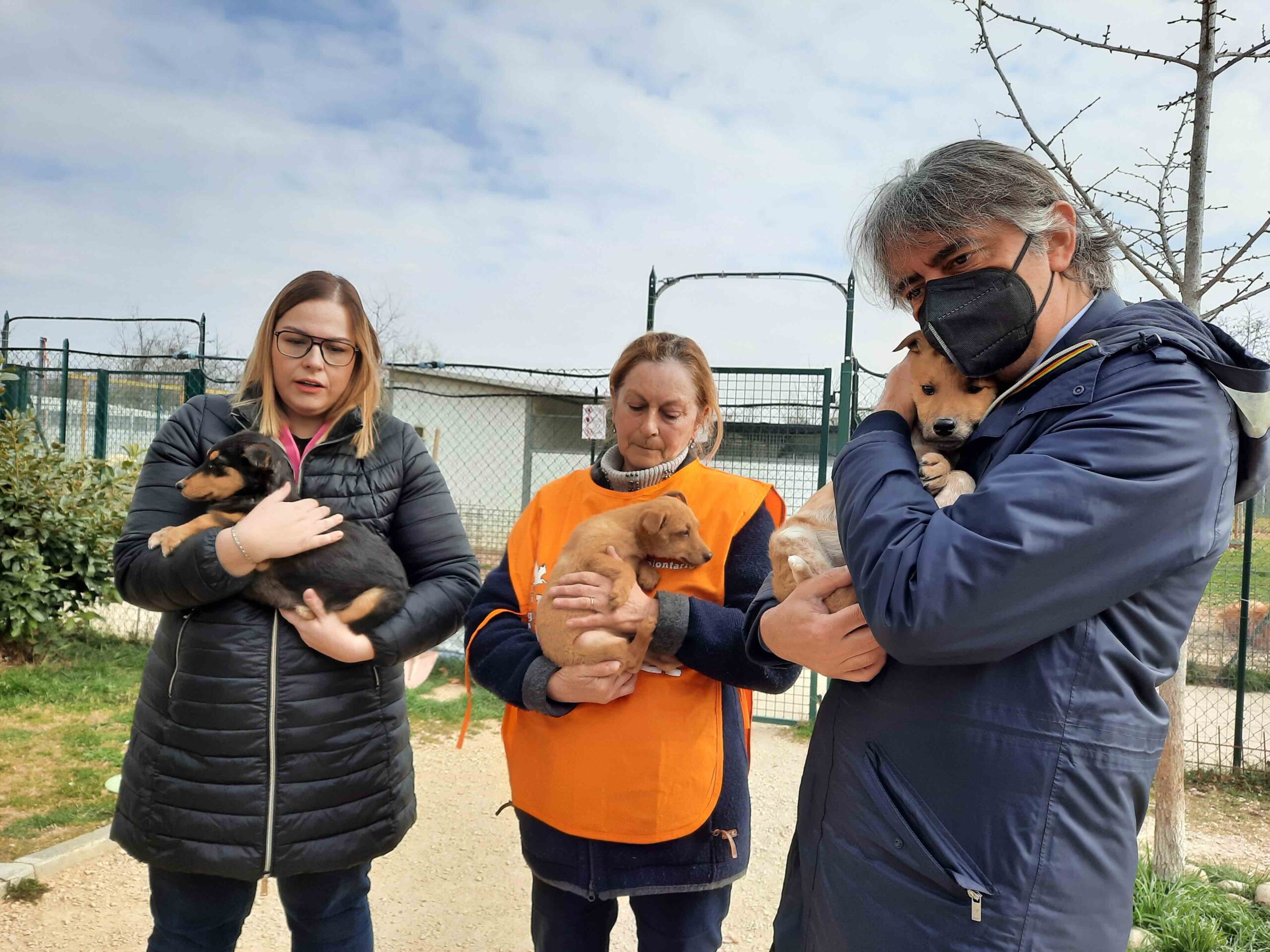 8 cuccioli profughi dall’Ucraina accolti a Verona dal Comune