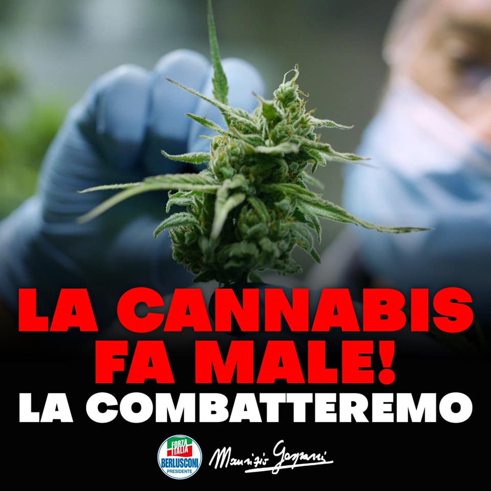 Gasparri: errore banalizzare l’uso della cannabis. Combatteremo contro la liberalizzazione