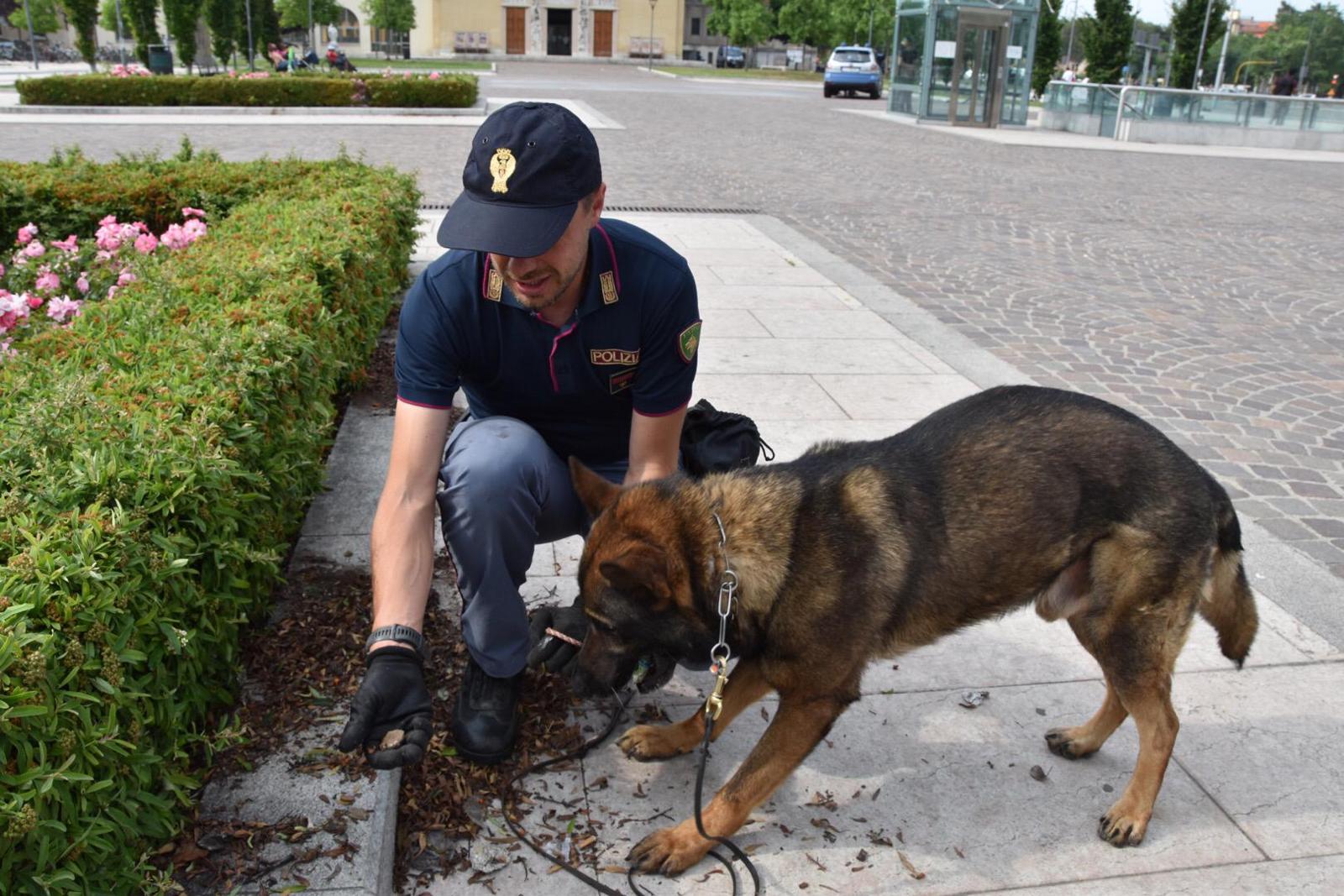 Controlli della Polizia: due arresti, stupefacente sequestrato grazie al fiuto del cane antidroga