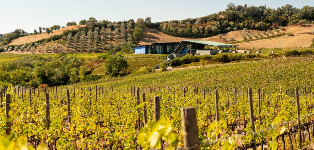 Sempre più Maremma per Santa Margherita che raddoppia con Pieve Vecchia