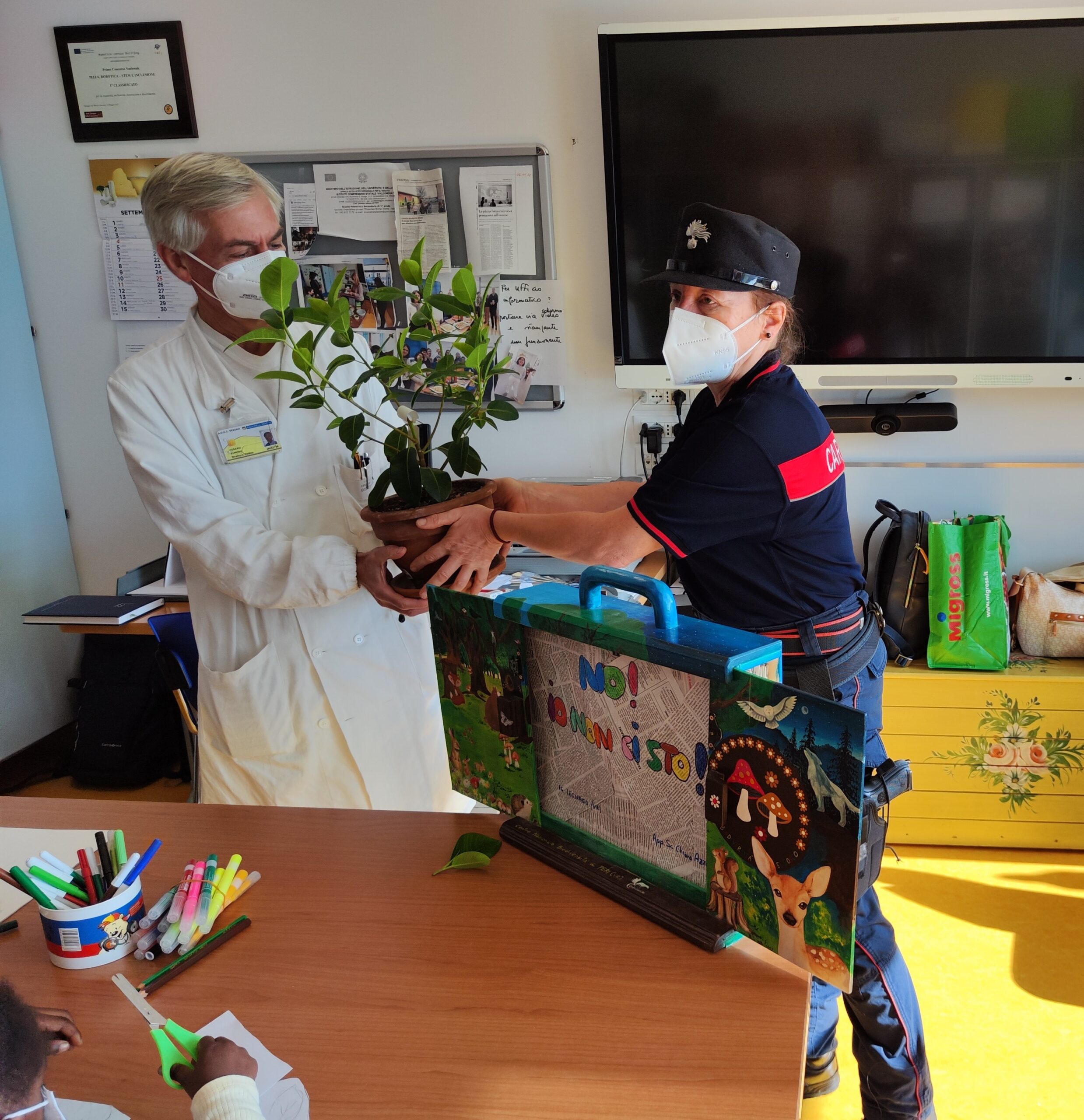 L’albero di Giovanni Falcone consegnato alla Scuola in ospedale dell’AOUI Verona