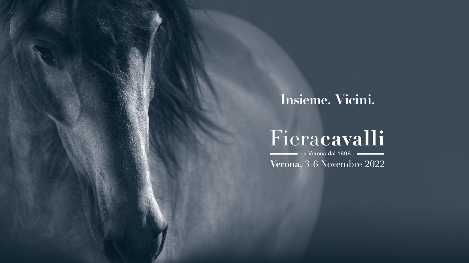 Torna Fieracavalli dal 3 al 6 novembre. Da 124 anni Verona diventa per 4 giorni la capitale del mondo equestre