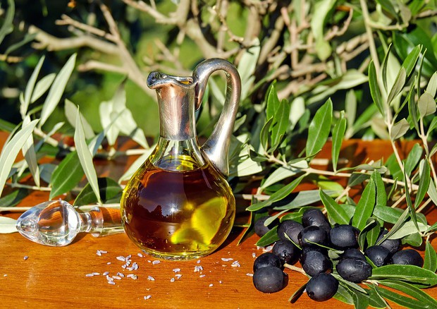 In gara al 21° Sol d’Oro, concorso internazionale per il miglior olio extra vergine d’oliva a VeronaFiere dal 20 al 26 febbraio