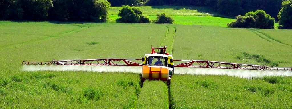 Insetti, normative, infestanti: nuovi timori in agricoltura. L’impatto del clima e le ricerche sulla difesa fitosanitaria