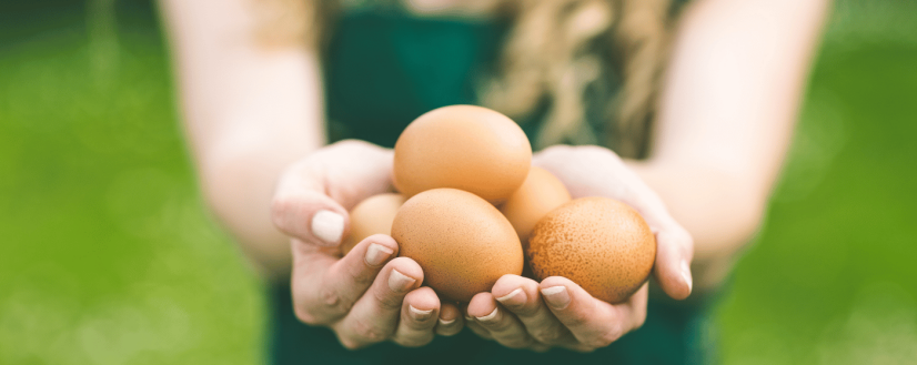 Articolo 214 Sensoriale sulle uova