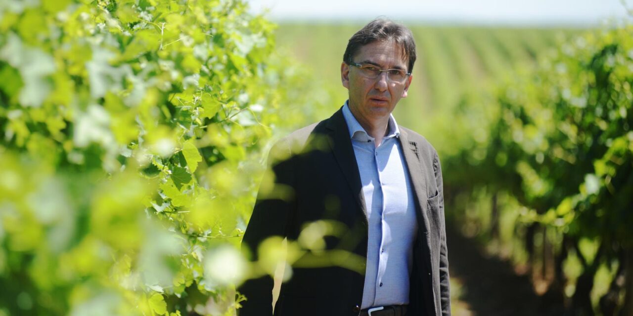 Christian Scrinzi è il nuovo DG di Collis Veneto Wine Group