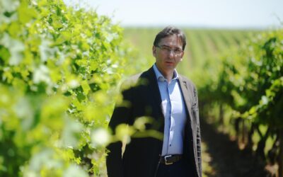 Christian Scrinzi è il nuovo DG di Collis Veneto Wine Group