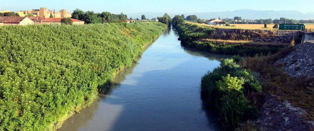 Il veneziano Silvano Bugno vicepresidente del Consorzio di bonifica LEB, che porta acqua ai campi da Belfiore a Chioggia