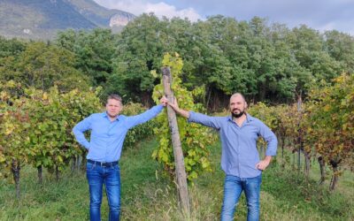 Christian Gastaldelli e Matteo Castagna lanciano il nuovo e-commerce del vino: Fora Bina