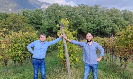 Christian Gastaldelli e Matteo Castagna lanciano il nuovo e-commerce del vino: Fora Bina