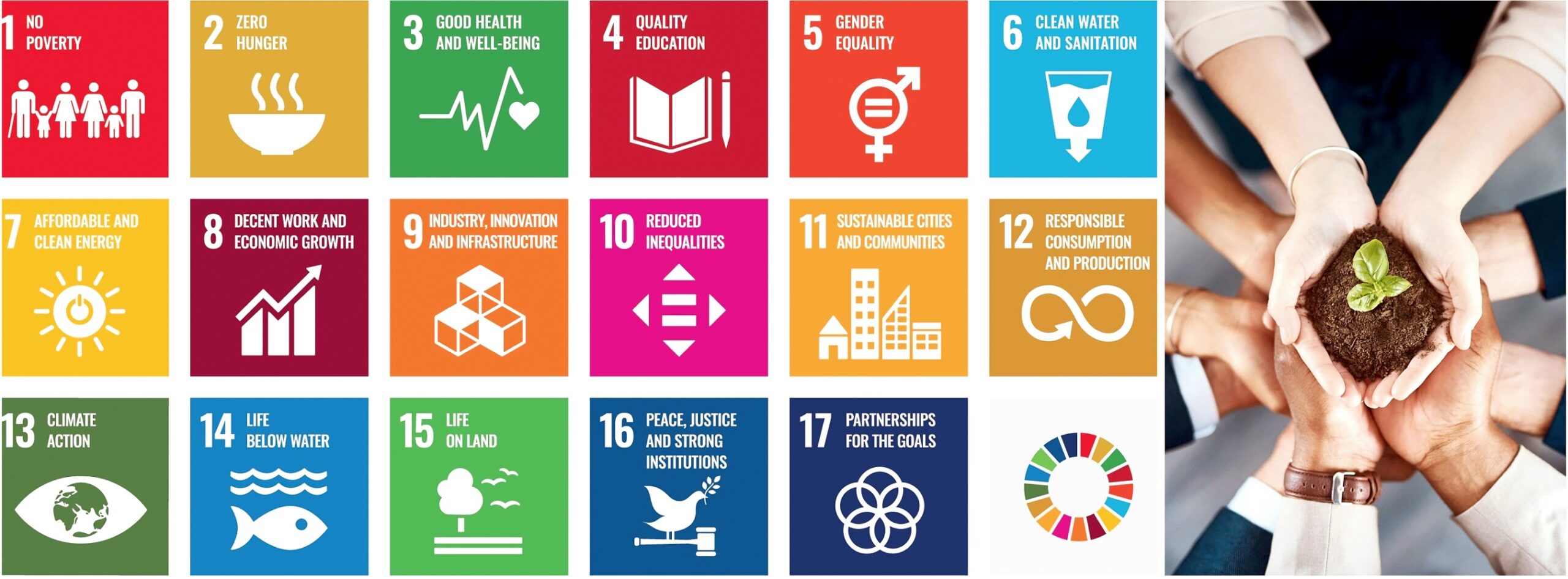 Ambiente, sociale, gestione: i criteri ONU nell’impresa. La formazione aziendale accoglie la visione sostenibile