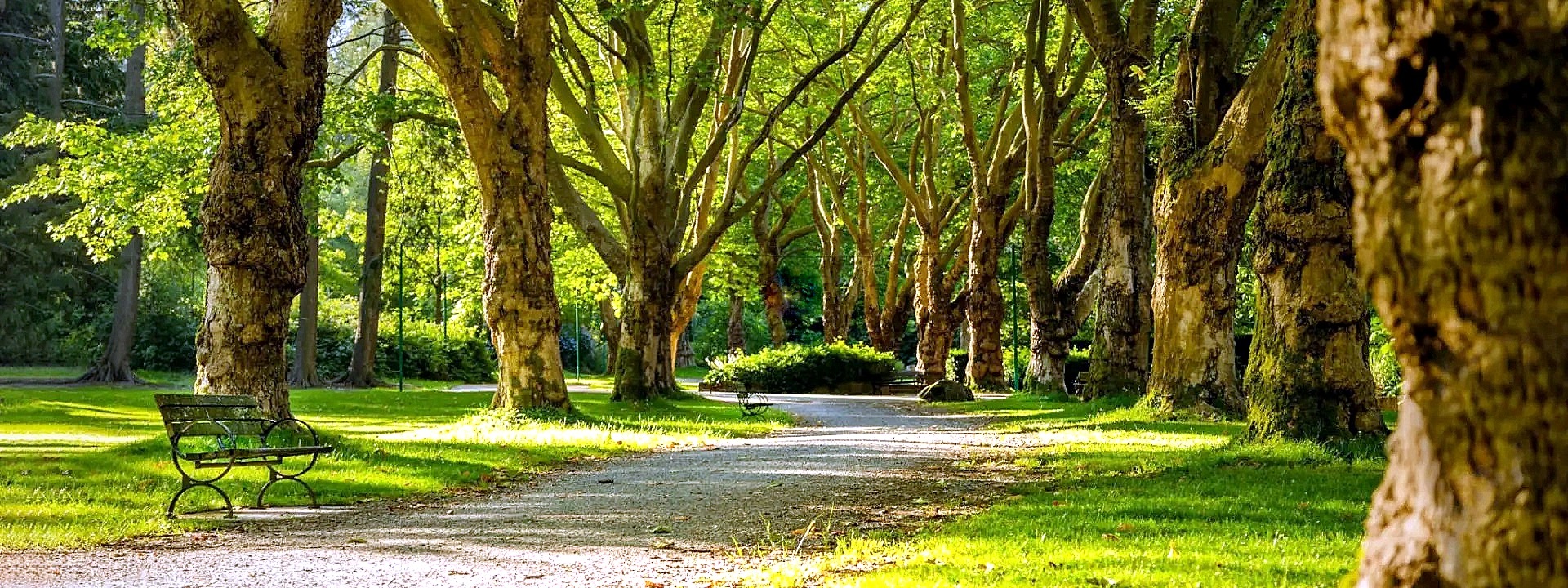 Ambiente, da Fondazione Cariverona bando Habitat 2022: 4,5 milioni dedicati a clima, biodiversità, acqua e territori