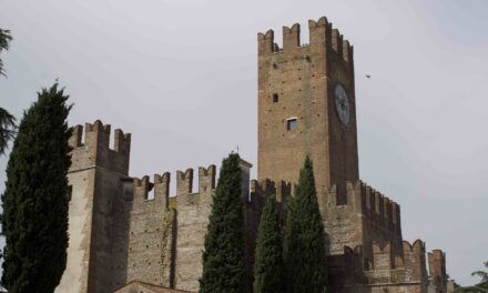 Sparatoria alle piscine comunali di Villafranca. Una vittima.