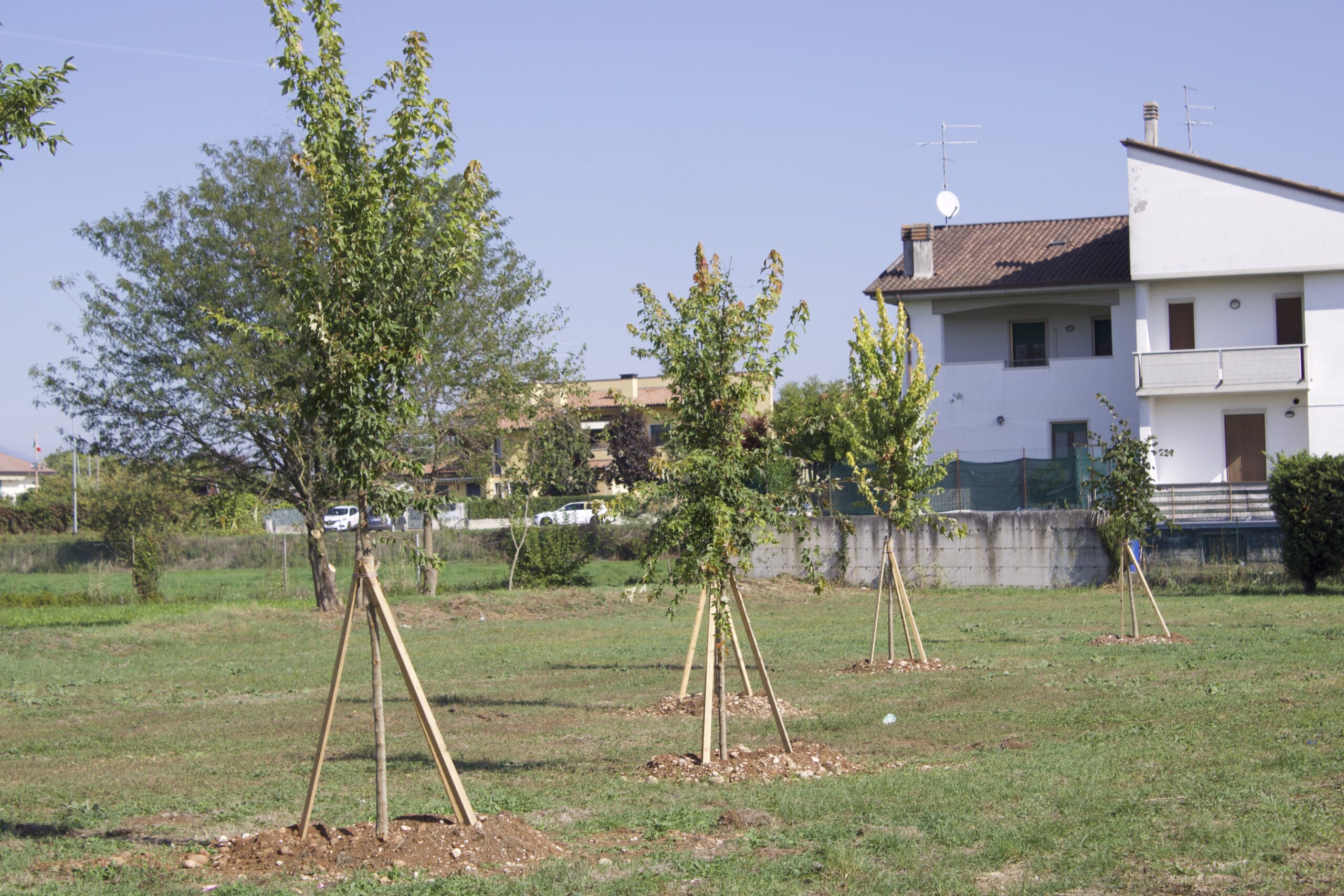 Villafranca. “Isole boschive” nelle zone più trafficate per l’assorbimento di anidride carbonica e polveri sottili