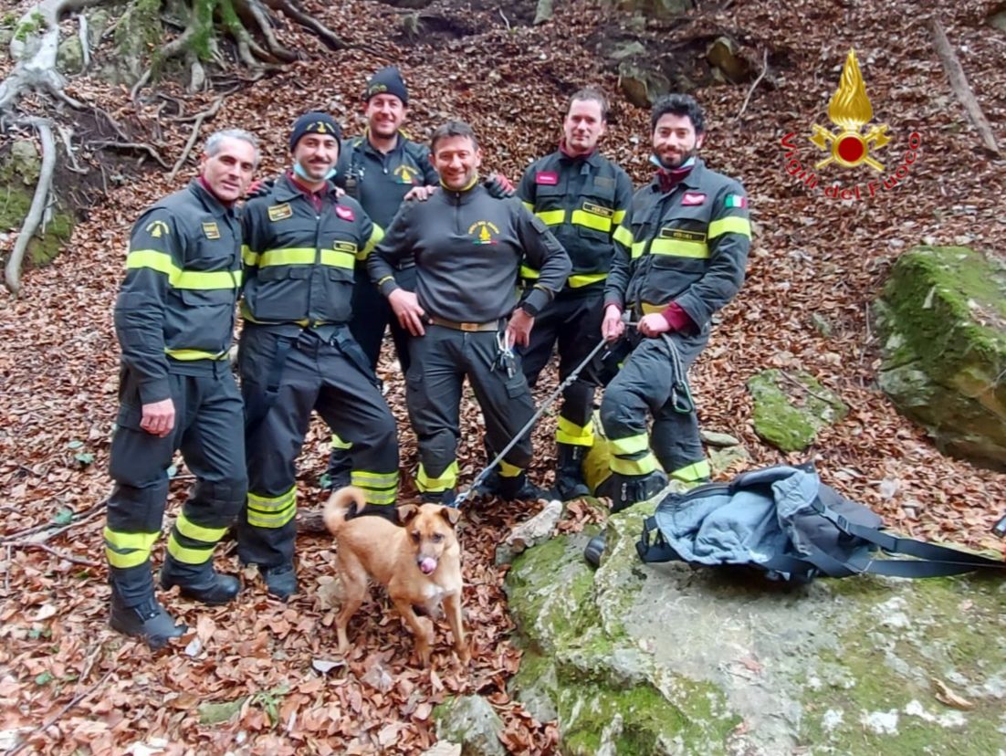 I Vigili del fuoco salvano un cane precipitato dalle cascate dell’Angelo.