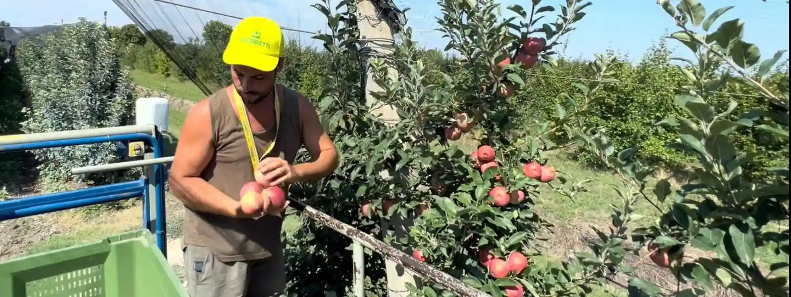 Coldiretti: aste al ribasso e tre x due, ecco le armi a difesa dei produttori per non farsi strozzare dalla filiera e dalla GDO