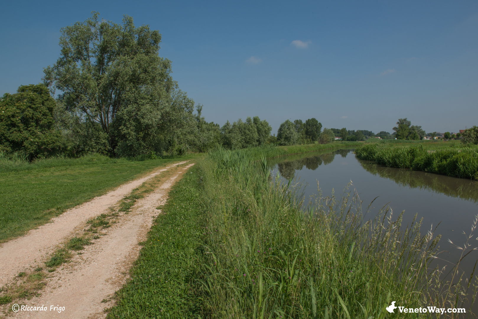 Oasi del Brusà, al via la piantumazione di 1.700 piante