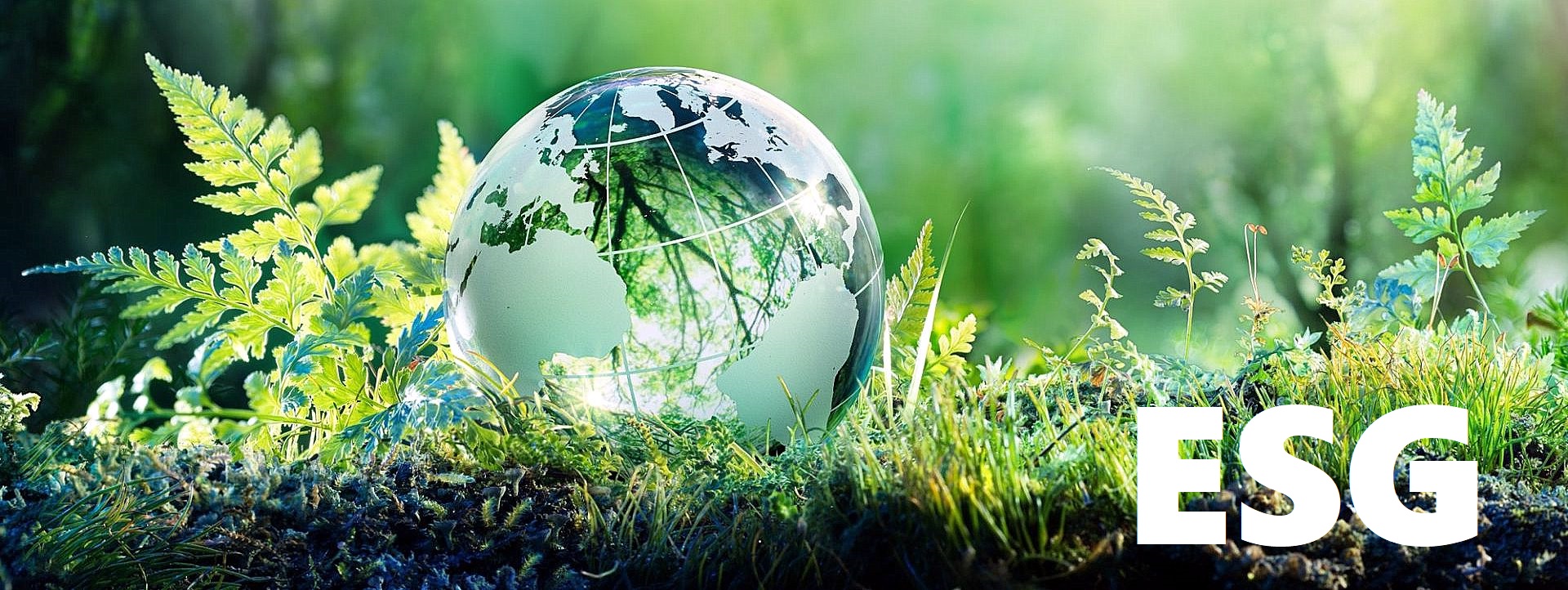 Bilancio di sostenibilità: perché è importante per le Pmi. Domattina un webinar di supporto verso gli obiettivi ESG