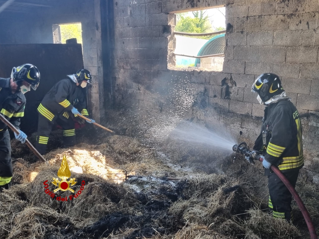 Villafranca, va a fuoco una stalla