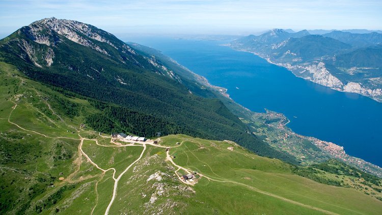 Monte Baldo, Veneto Agricoltura interviene per ridurre l’impatto ambientale del pino nero