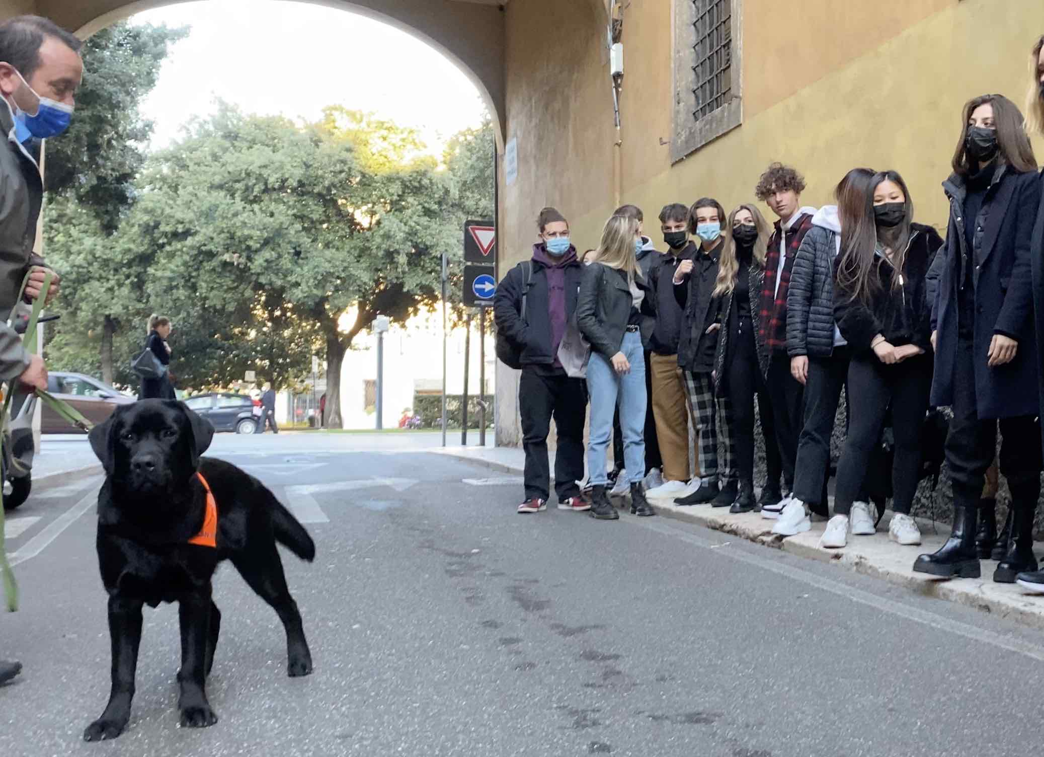 I cani che scovano il Covid. Prima dimostrazione in Italia