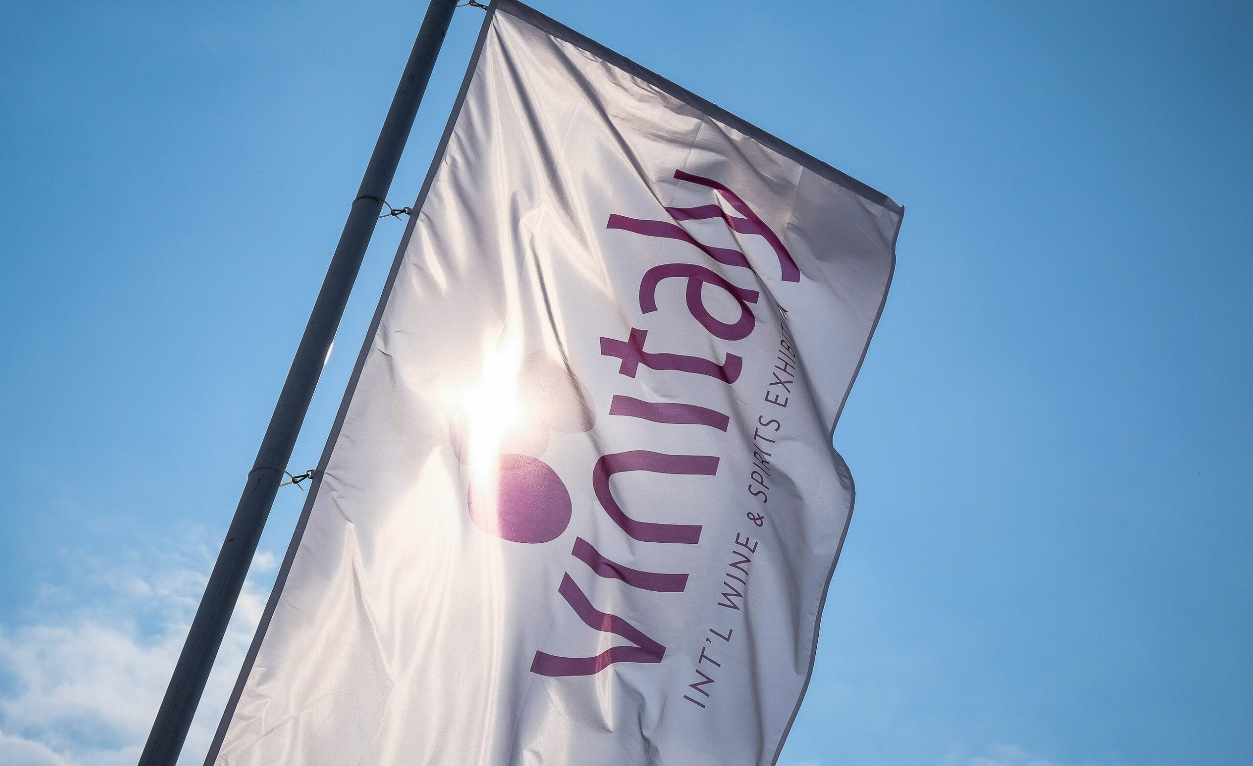 Il punto sul vino della Distribuzione Moderna in vista del Vinitaly