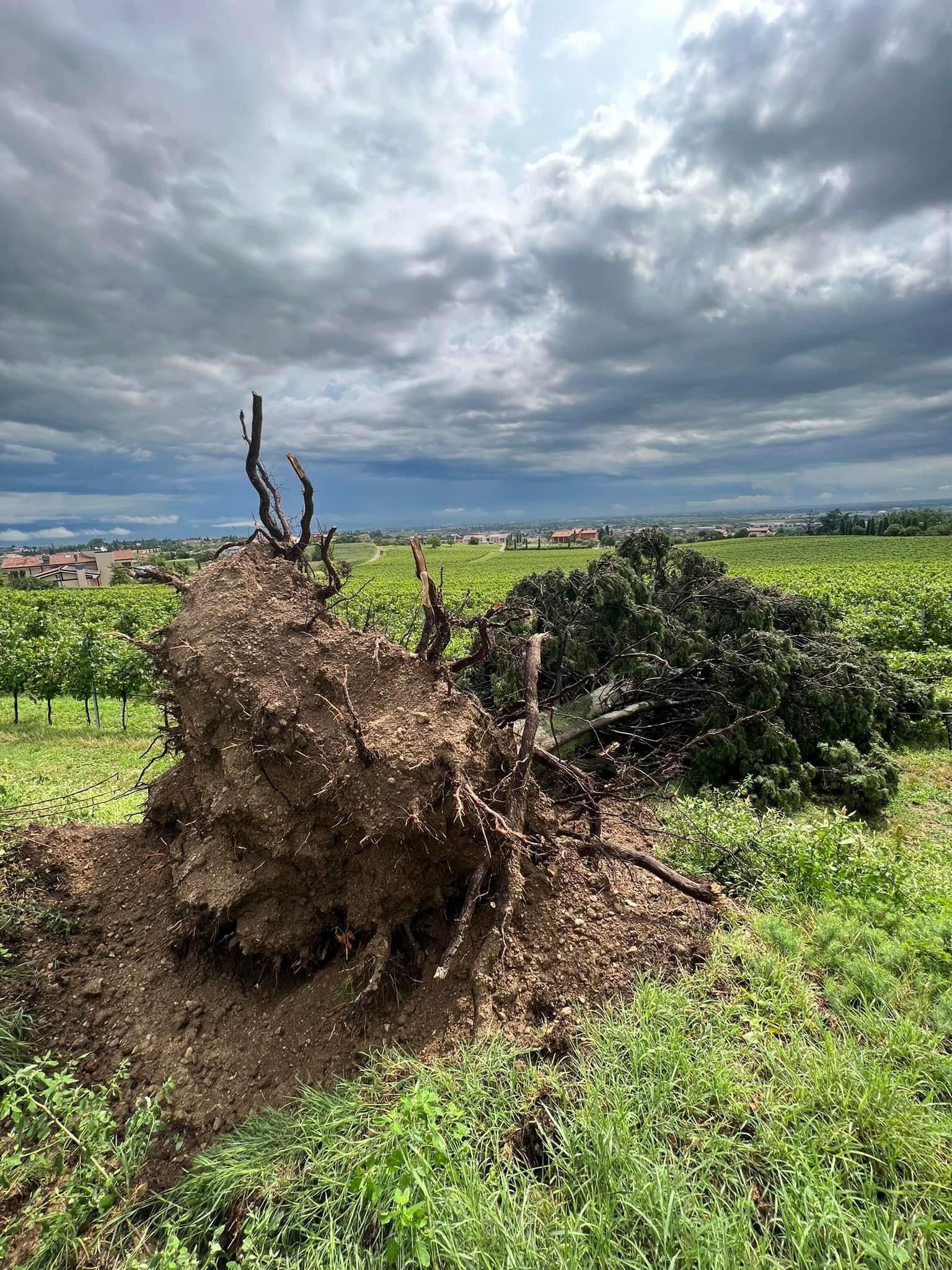 Villafranca fa la conta dei danni delle tempeste di quest’estate 2023: centinaia di richieste di risarcimento