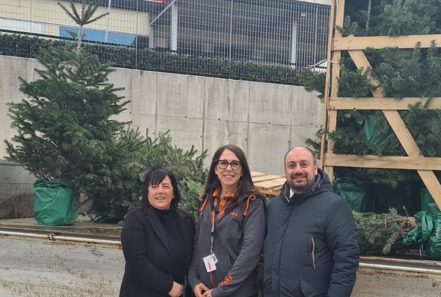 Castelnuovo del Garda, 25 abeti “salvati” dal Natale in regalo da OBI Italia