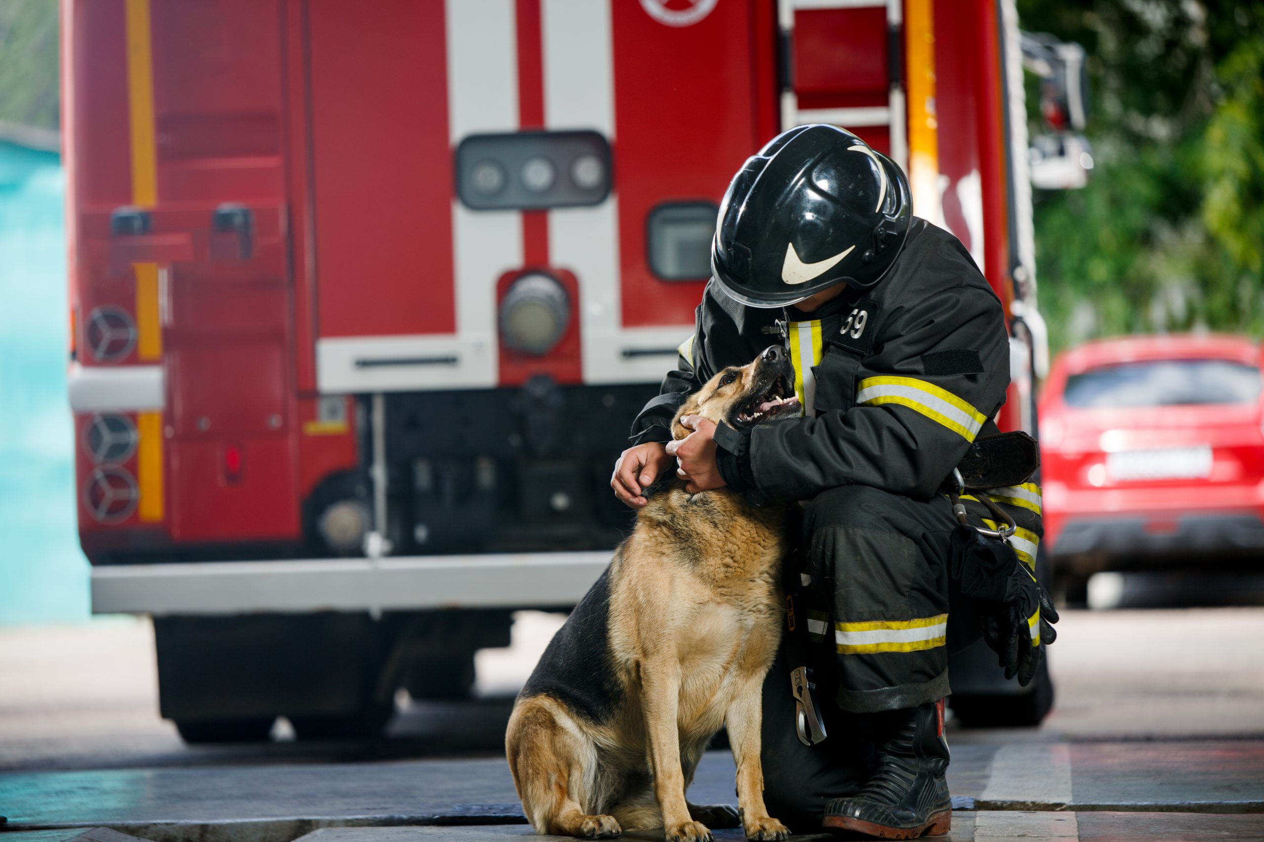 I Vigili del fuoco salvano due cani in pericolo