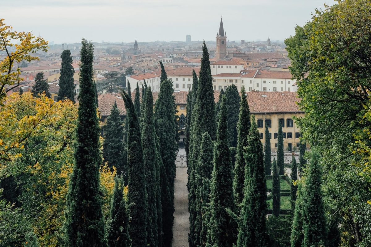 Verona è l’ultima città in Veneto per quantità di alberi. E nessuno intende cambiare questo disastro