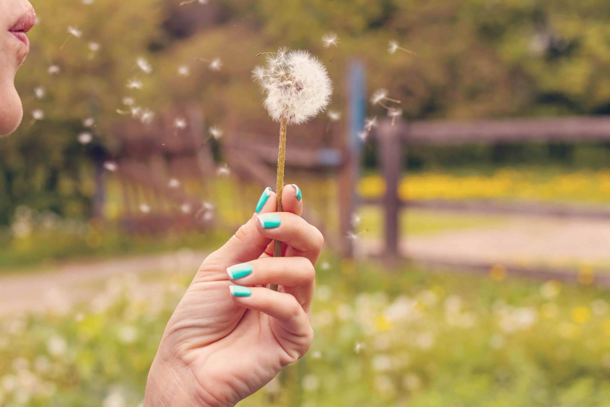 Le allergie stagionali durano di più