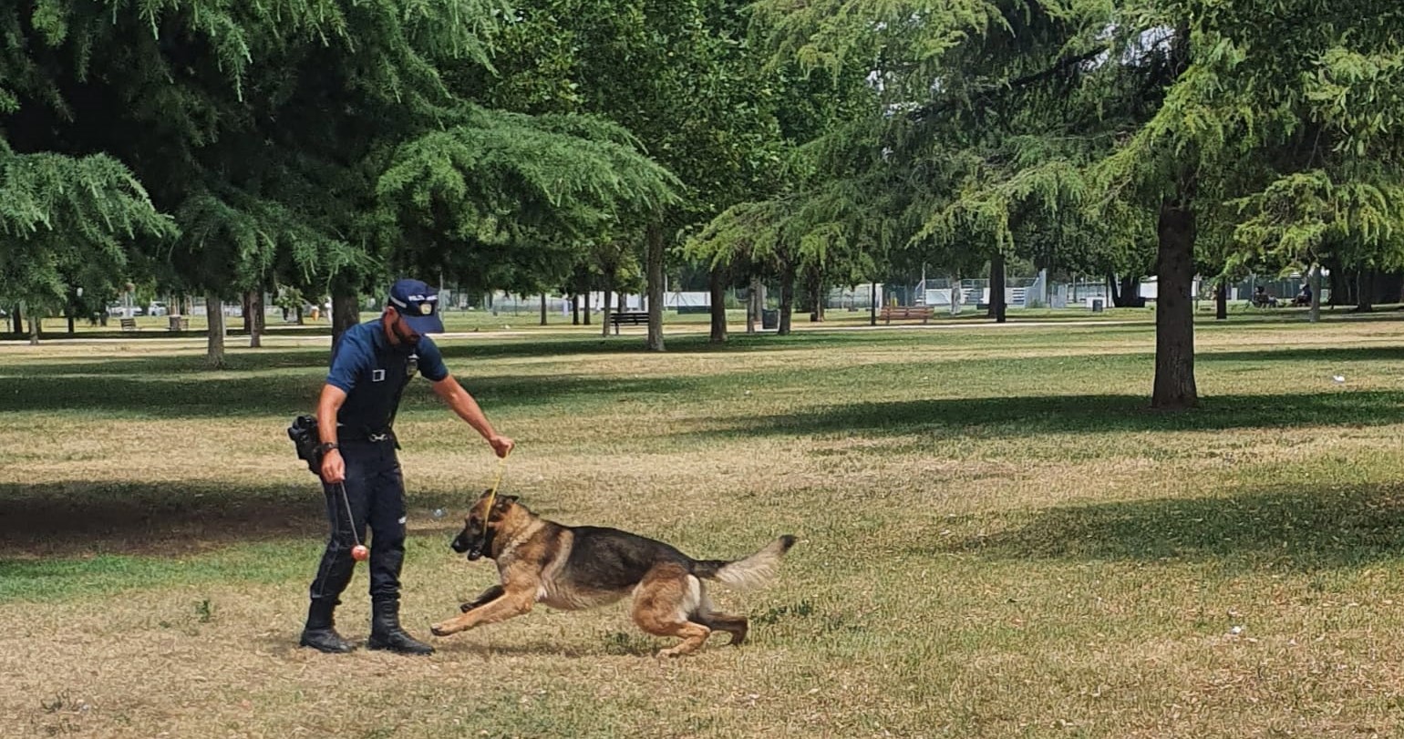 CONTROLLI AL PARCO SAN GIACOMO, IN AZIONE ANCHE L’UNITA’ CINOFILA