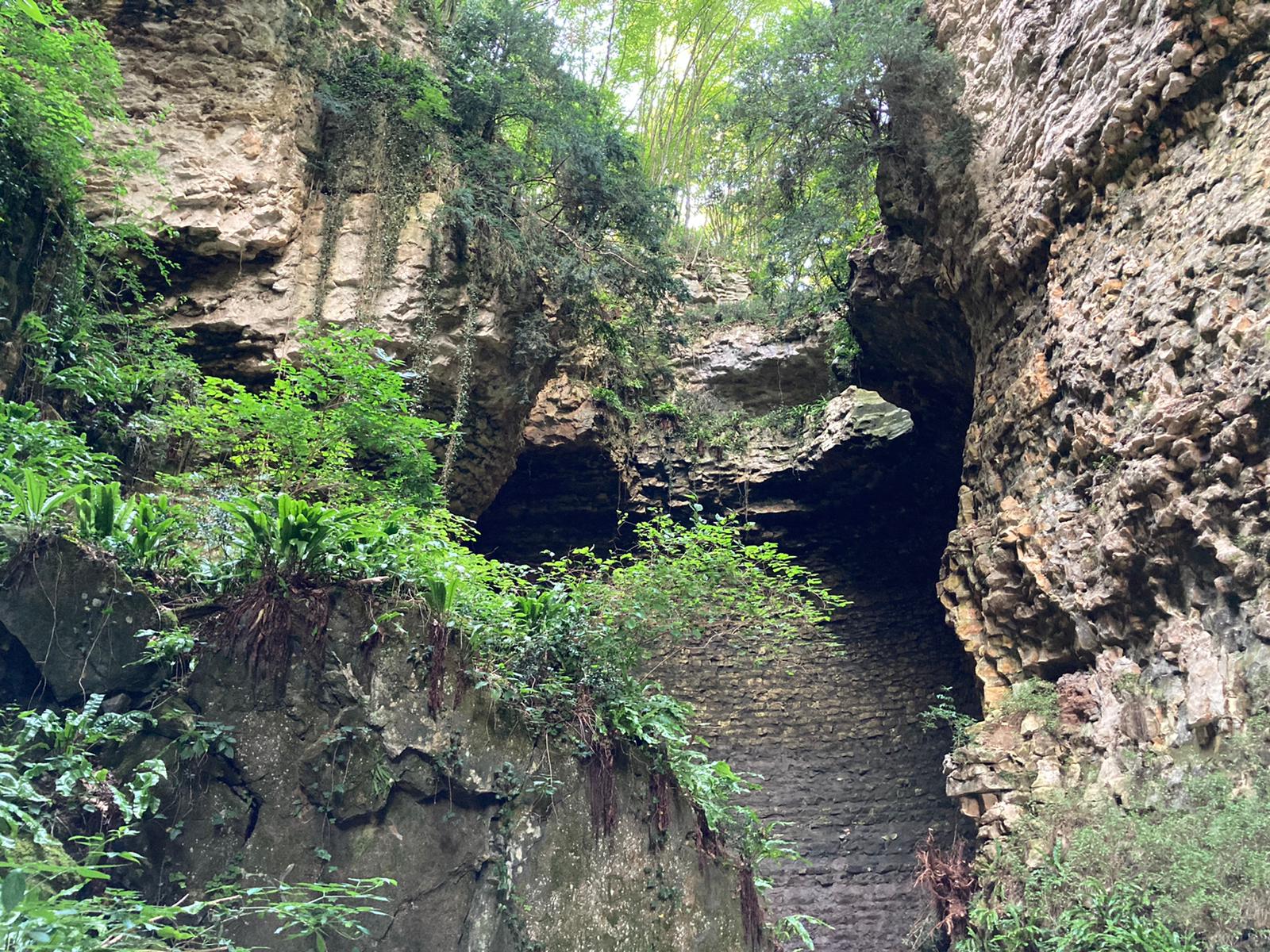 Scatta il censimento naturalistico in Val Borago, un tesoro unico a pochi minuti dal centro