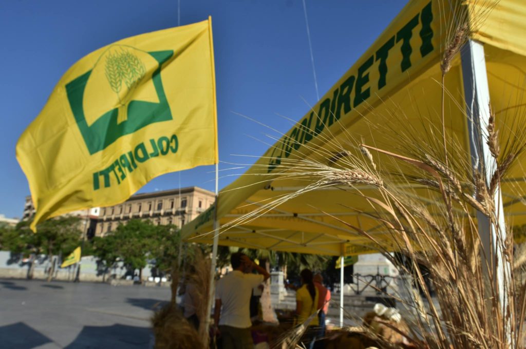 Coldiretti alla battaglia del grano: crollano i prezzi per gli agricoltori italiani, restano alti quelli della pasta al consumo. Nel mirino l’import dal Canada