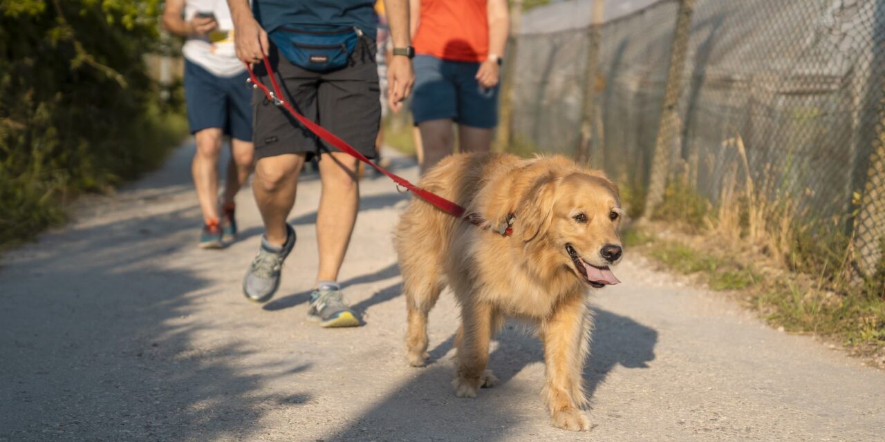 Al via la 2ª edizione della Corsa del Sole.  Sabato 22 giugno a Castel d’Azzano si corre per raccogliere fondi a favore dei genitori “Tra Terra e Cielo”