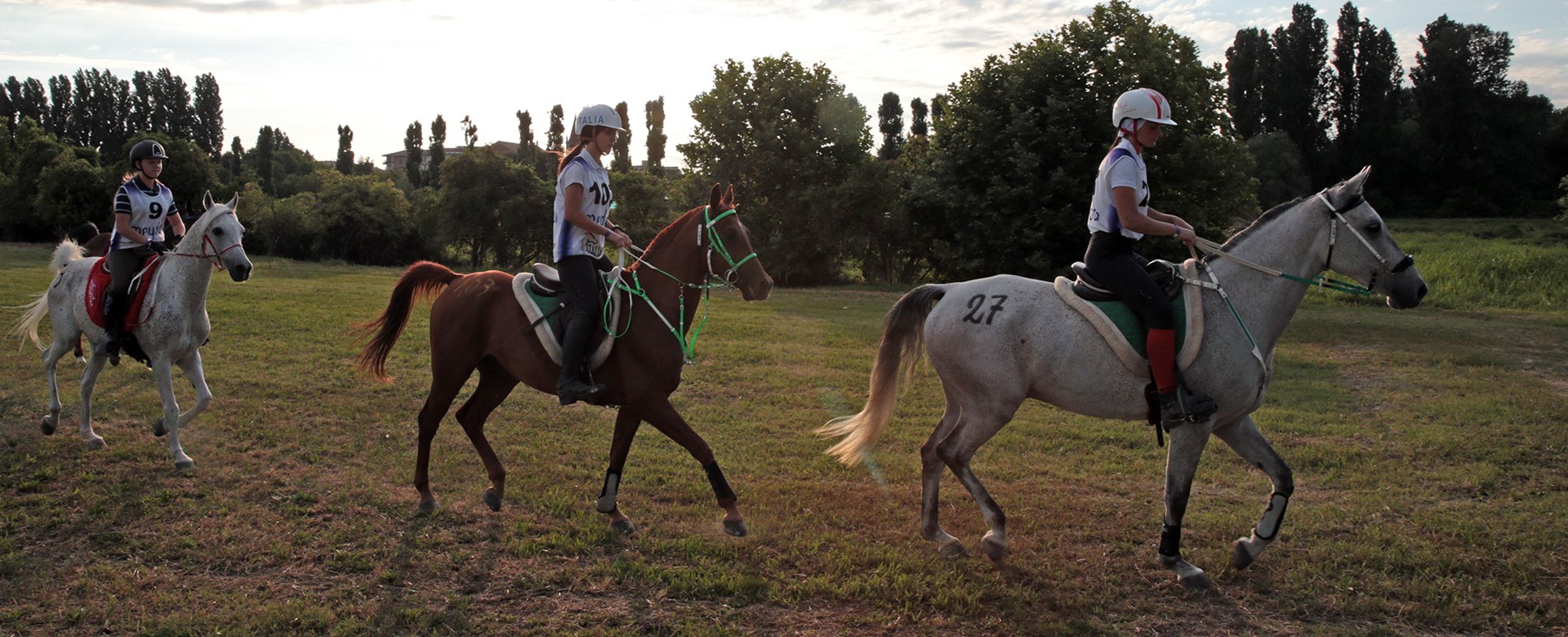 Campionato mondiale Endurance, sarà FieraCavalli a gestire l’organizzazione dell’evento a Isola della Scala