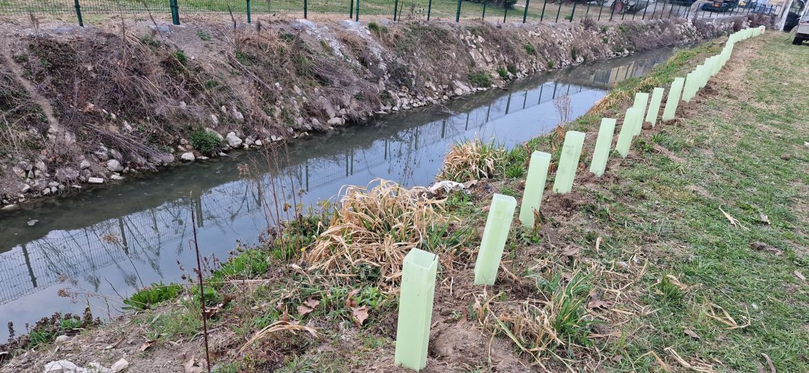 Tione: a Bussolengo, Pastrengo e Castelnuovo del Garda interventi per bloccare l’espansione delle nutrie assieme al Parco Natura Viva