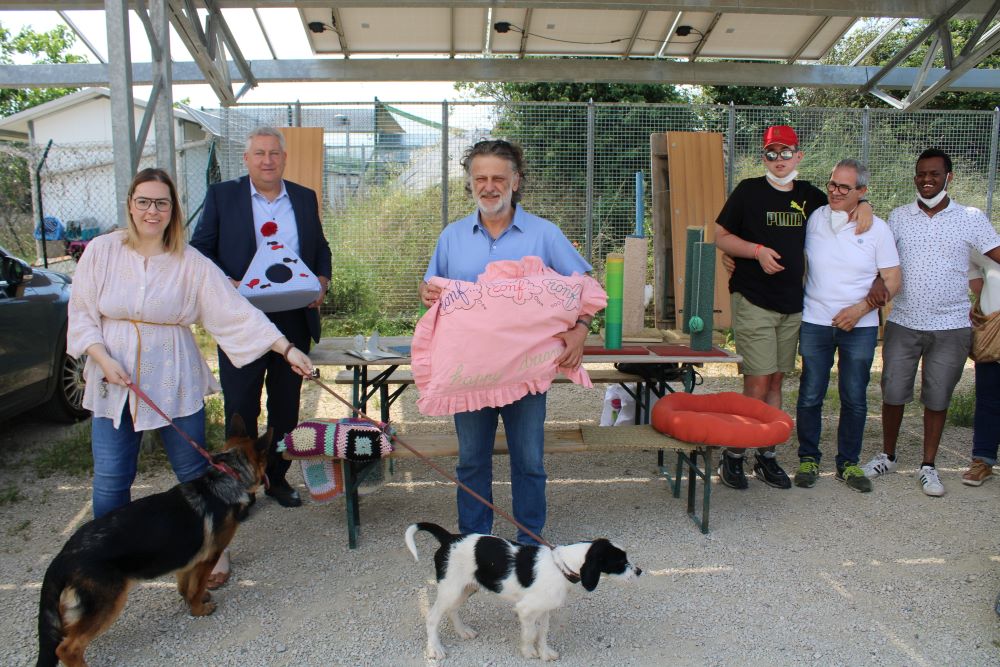 “Verona, 4 zampe e una vecchia coperta”. L’iniziativa di Amia a sostegno del canile di Verona