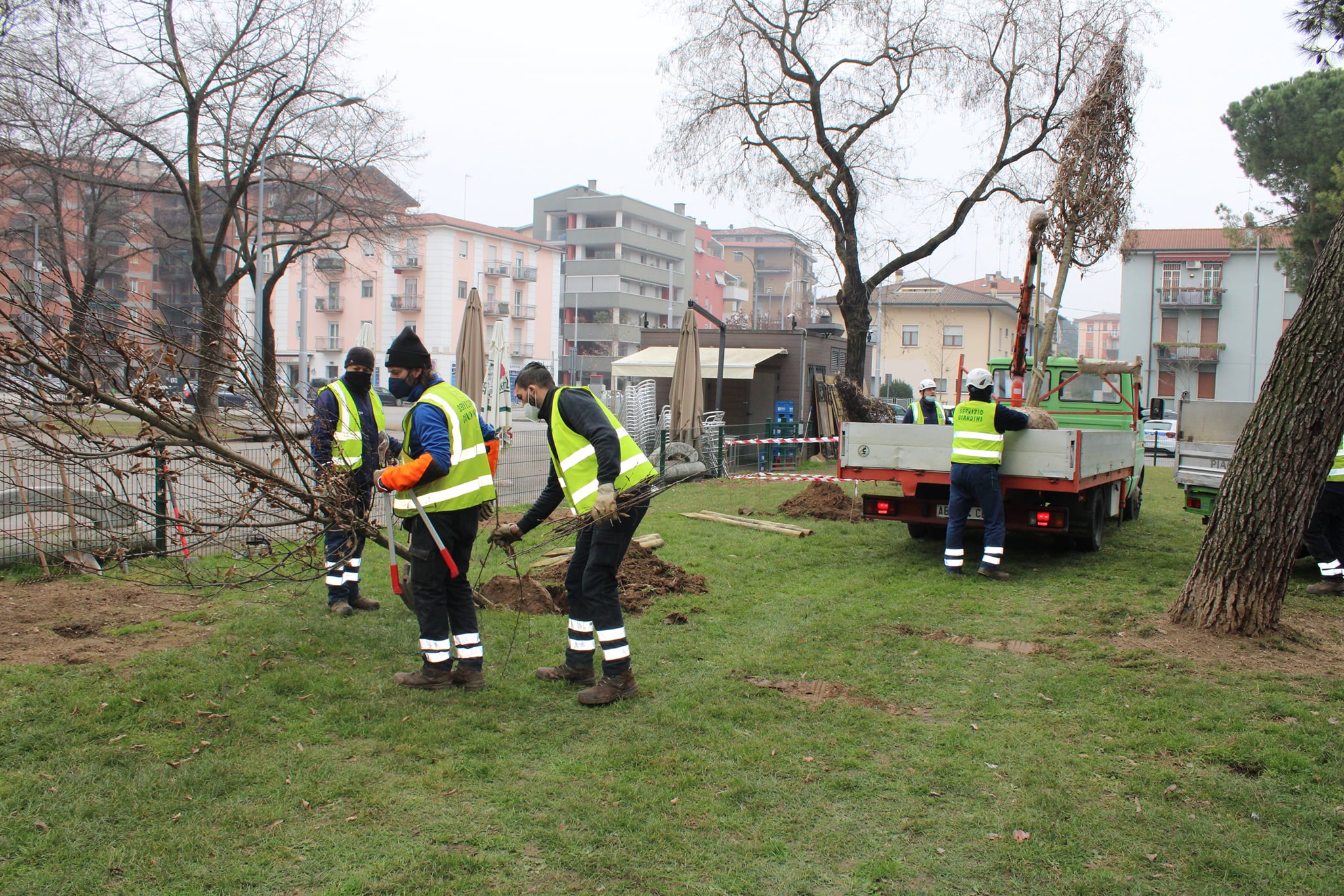 Piano straordinario di Amia per una Verona sempre più verde. Terminate le operazioni, piantati 400 nuovi alberi in tutta la città