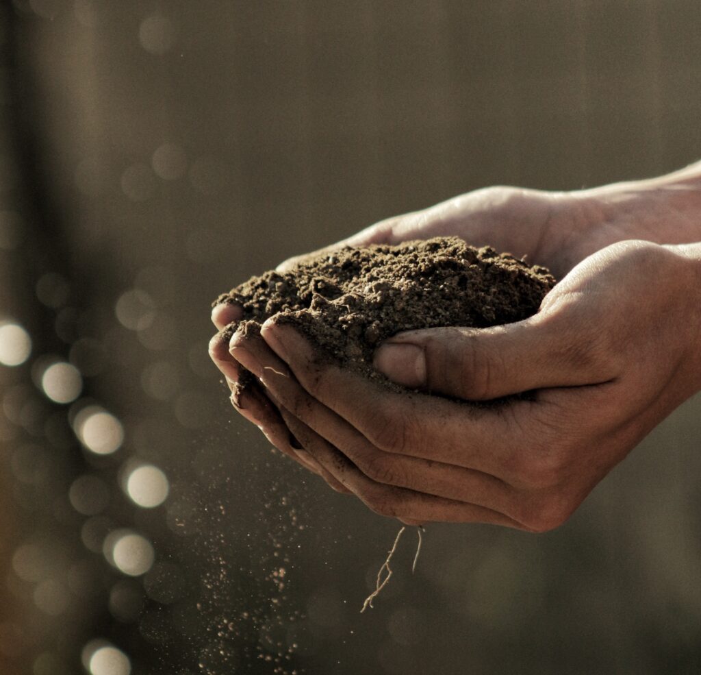 Verona capitale dell’agricoltura. Ma in Veneto non conta