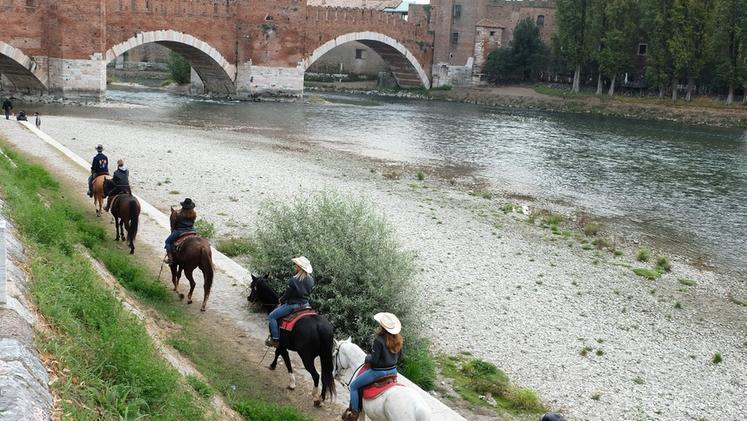 Equivia, percorso a cavallo per le vie di Verona. 14, 21, e 28 novembre