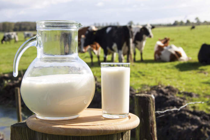 Latte, crescono i consumi mondiali: prezzi in crescita nei prossimi mesi