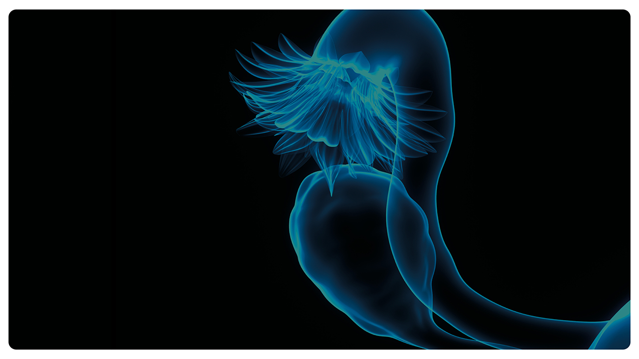 Due nuove molecole aumentano la sopravvivenza delle donne colpite da carcinoma dell’ovaio