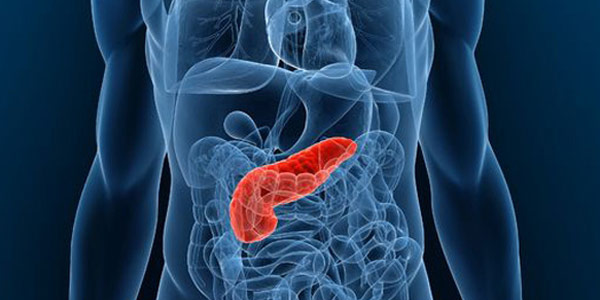 Tumore al pancreas, l’Università studia un nuovo inibitore alla sua crescita