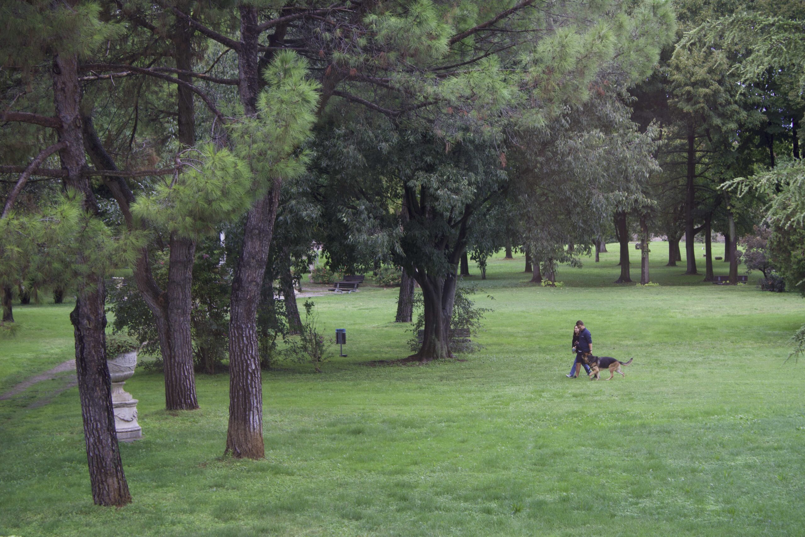 “Povegliano in Sport”: Domenica 2 ottobre al Parco Balladoro