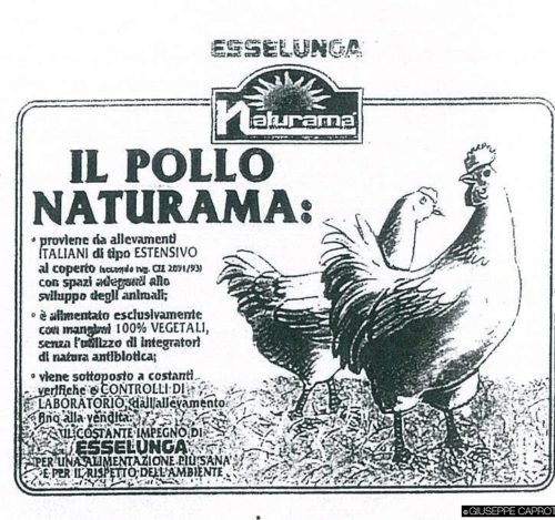 pollo naturama 1 500x469 1